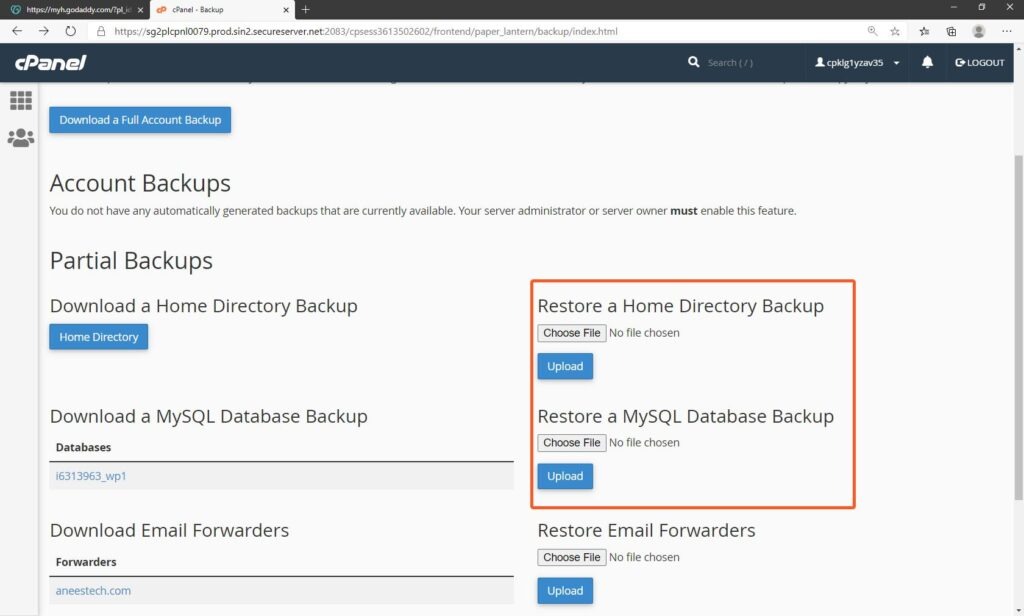 Restore backup from cPanel