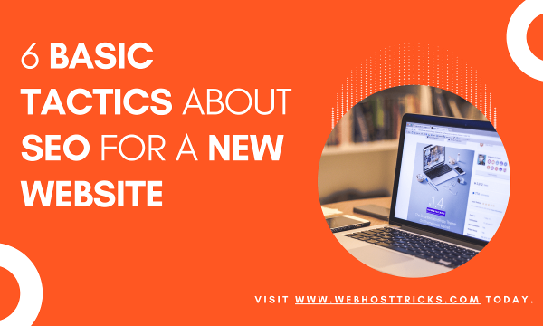 6 Basic Tactics about SEO for a new website