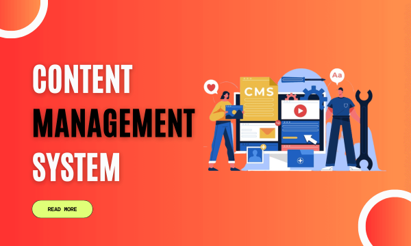 Content Management System: Simplifying Website Management