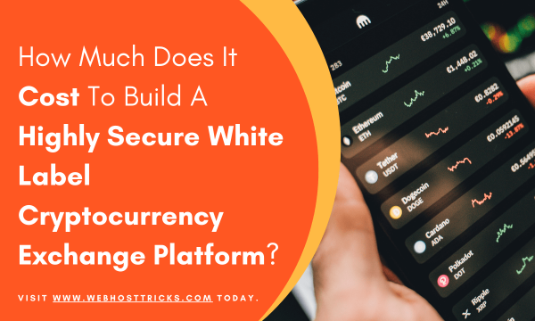How Much Does It Cost To Build A Highly Secure White Label Cryptocurrency Exchange Platform?