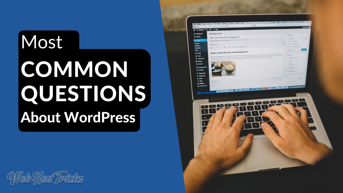 10 Most Common Questions about WordPress